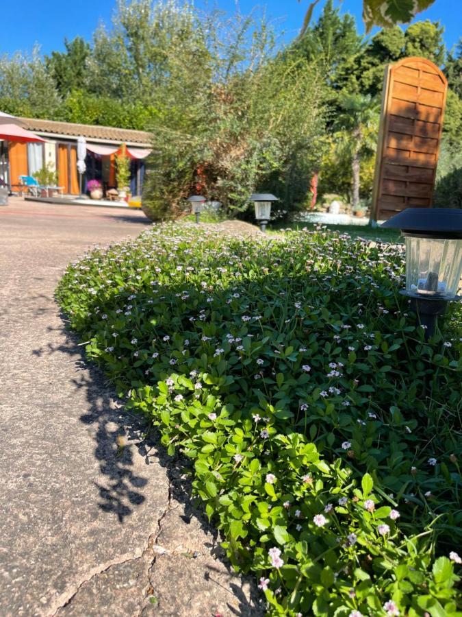 Bed and Breakfast Mas De La Butte Blanche Orgon Екстер'єр фото